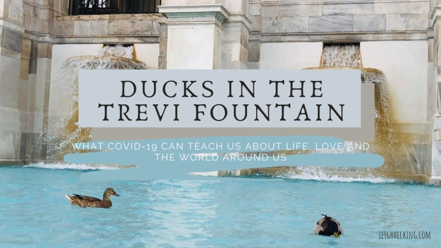 Ducks in the Trevi Fountain: What Covid-19 Can Teach Us About Life, Love and the World Around Us